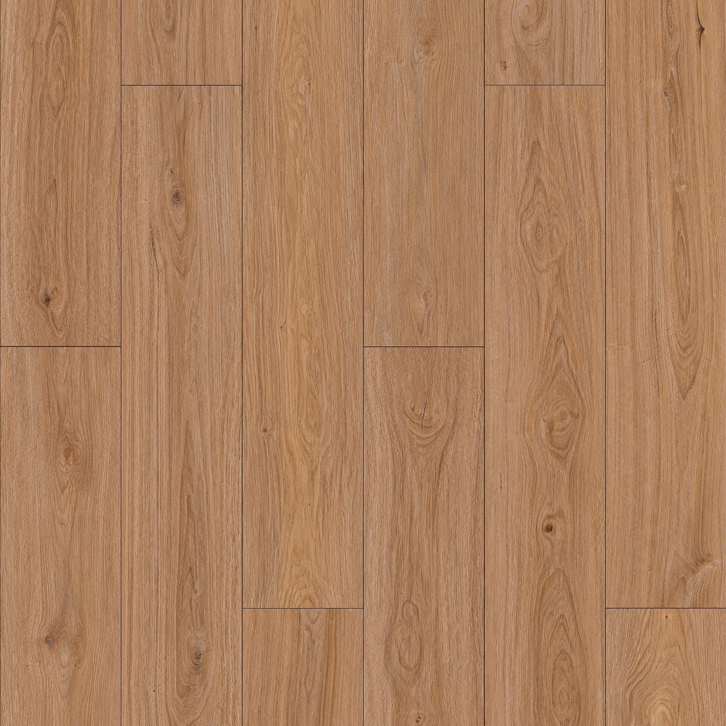 Woodward Oak 9"x60" AC4 Laminate Flooring Revive by Southwind